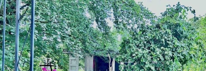 Gartenparadies - Wohnglück mit Mainblick : 
2 Ein-Familien-Häuser - Ensemble voller Möglichkeiten