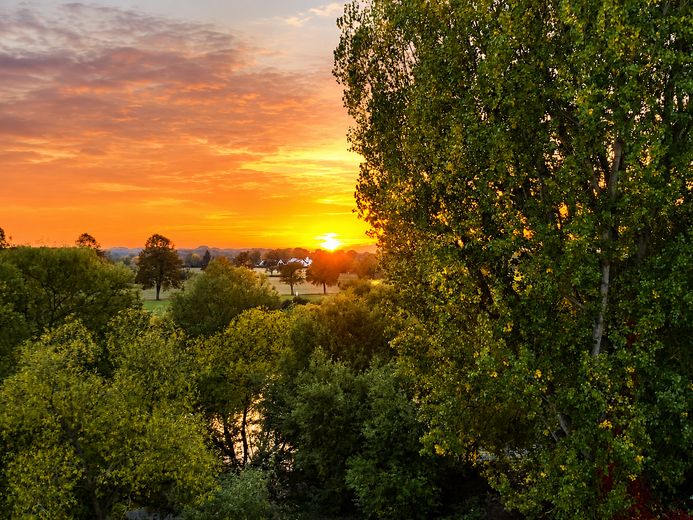 Gepflegte Dachgeschosswohnung mit Mainblick – Foto 1