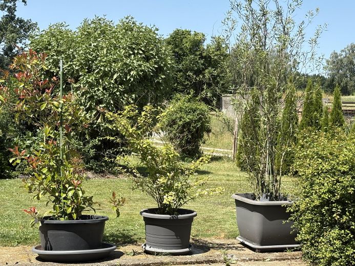 Architectenhuizen 2 wooneenheden grote tuin – Photo 14