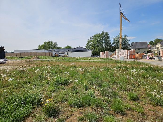 Baugrundstücke im Neubaugebiet Offenbergblick! Keine Provision! Kein Bauzwang! – FlStk. 669 nach Westen