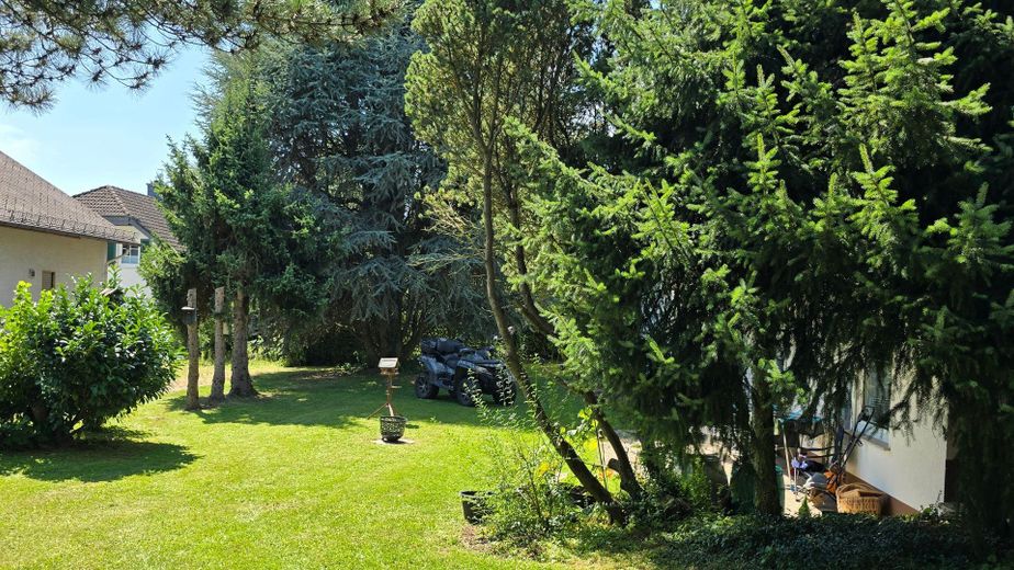 Bezugsfrei & provisionsfrei: Flexibles Dreifamilienhaus in Weilburg – Garten vor Terrasse