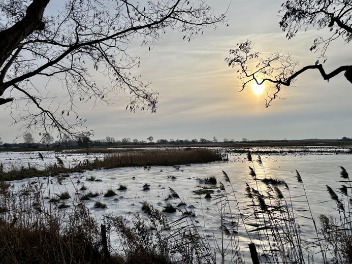 Bodden ile Baltık Denizi arasında – Unverbauter Boddenblick 