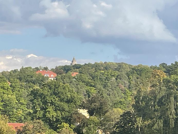 1. OG Blick vom Wintergarten