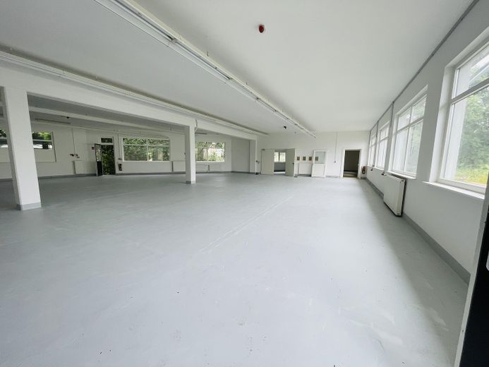Freshly renovated! 885m² Elegant & Attractive commission-free commercial space in Winsen (Luhe) – Halle 1