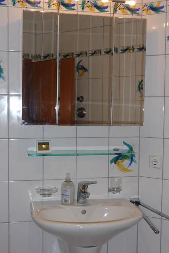 Spiegelschrank+Waschbecken