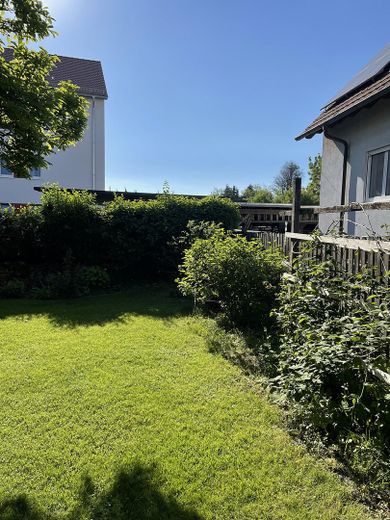 Garten Brombeer-Himb. Strauch