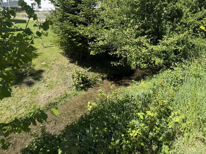 Blick auf den Angelbach