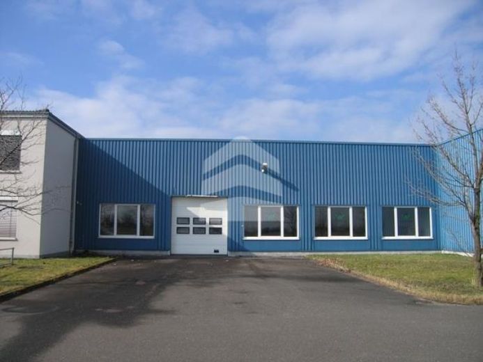 HALLEN.flächen nahe des Schkeuditzer Kreuz/Flughafen – Foto 1