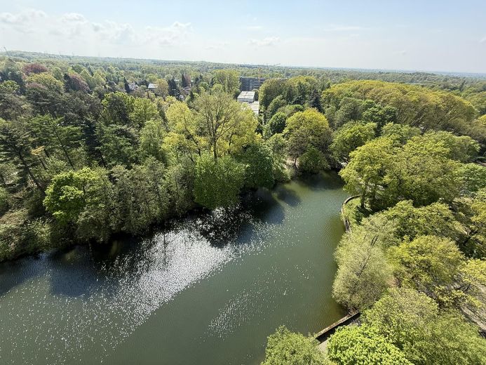 Penthouse mit großer Dachterrasse, Panoramablick & privater Sauna – Blick auf den Stadtweiher
