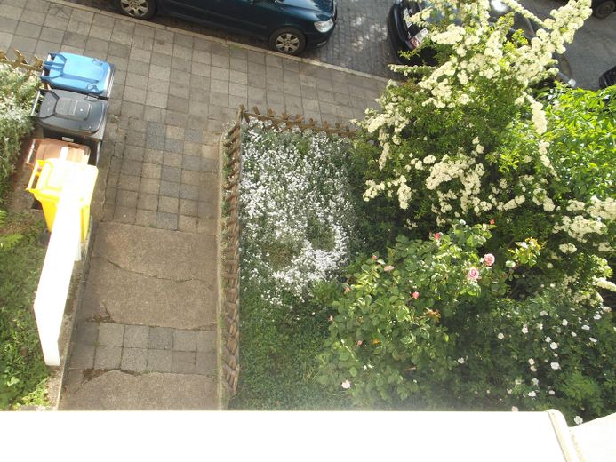 Blick Vorgarten rechts