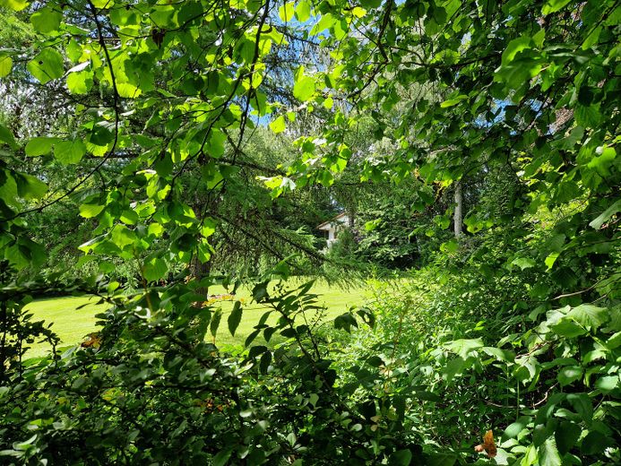 Landhaus am Rande des Nationalparks Hunsrück-Hochwald – Wohnhaus im Sommer