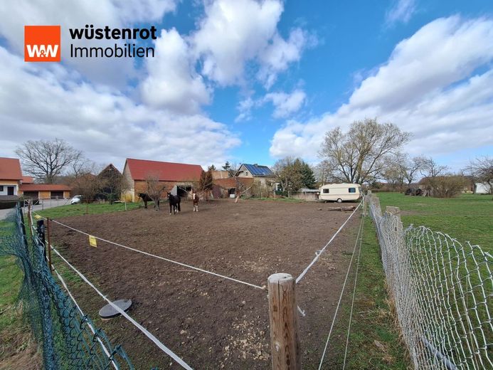 Einfamilienhaus in Rackith. Viel Platz für Familie, Garten, Tierhaltung &amp; individuelle Gestaltung – Blick auf die derzeitige Koppel