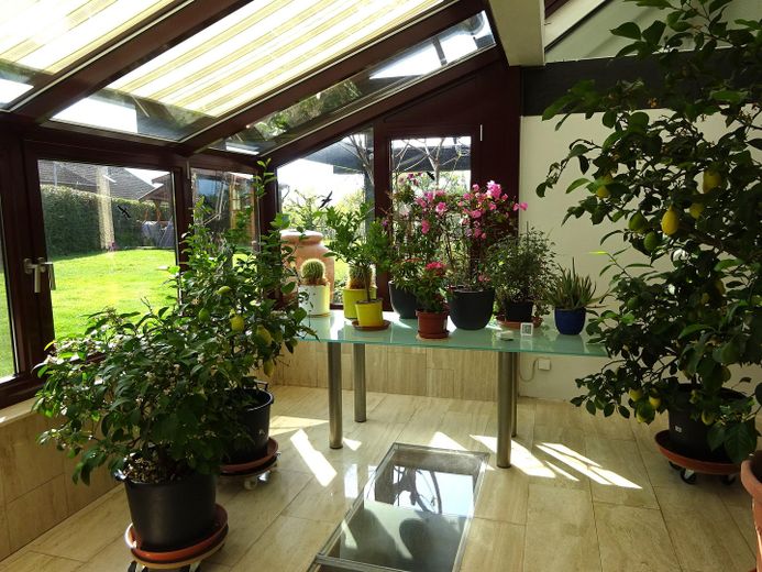 Große Maisonette mit Garten und Biotop – Wintergarten mit Beschattung