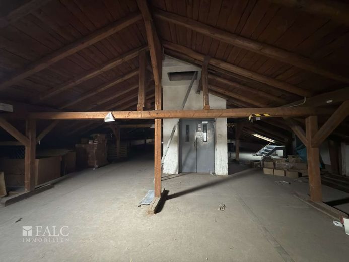 Loft, Wohnen oder Gewerbe - 2.800 m² Entwicklungspotenzial sichern – Dachboden