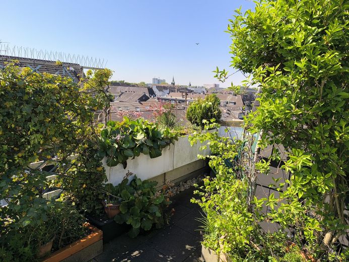 Große Eigentumswohnung mit großer Terrasse zu verkaufen – Terrasse