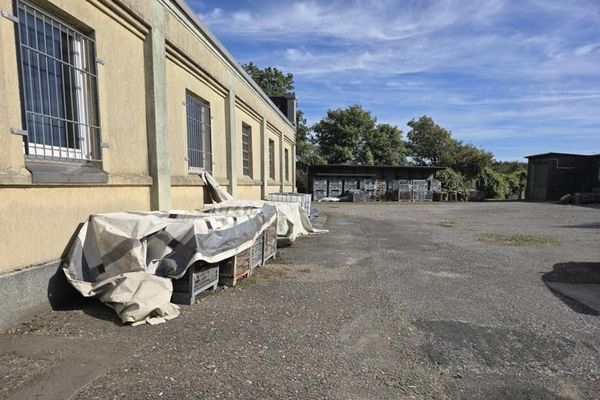 Gewerbe-/Lagerhalle | Kran | 400 V | LKW-Zufahrt | Nähe A1
