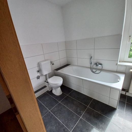 Helle 2-Raumwohnung am Stadtrand von Zwickau mit EBK – Foto 8