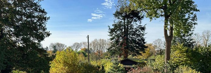 EG Blick Terasse in Garten