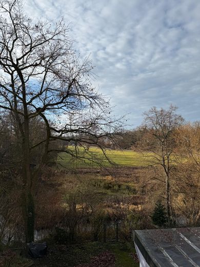 Blick vom Balkon ins Grüne