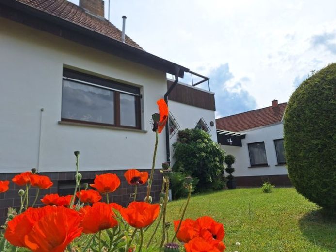 Sofort frei in Sprotta-Siedlung: Familienwohnen in bester Lage – zwischen Leipzig und Dübener Heide – Foto 1