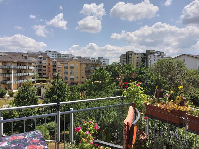 Blick im Sommer