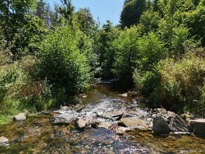 Campingplatz, Zimmervermietung und Gastronomie - gepflegte Familienexistenz in der Eifel – फोटो 1