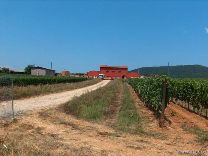 Weingut in der Toscana bei Orbetello – Foto 1