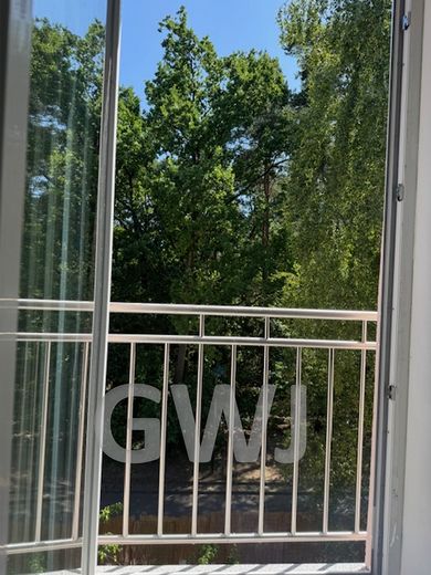 frz. Süd-Balkon Blick ins Grün