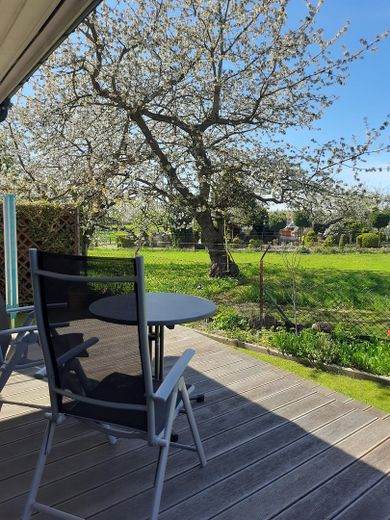 Skandinavisches Einfamilienhaus nahe dem Vogelpark und der Ostseeküste in M-V – Blick in Nachbars Obstgarten
