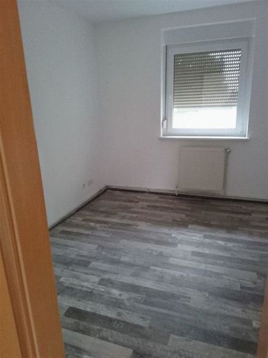 Gemütliche 2-Zimmer mit Dusche und Laminat in guter Lage! Garten mgl. – 1000032449