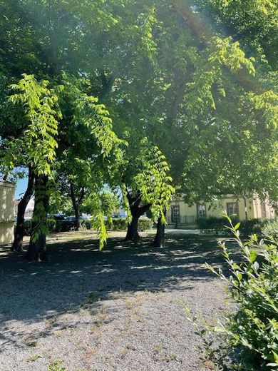 Biergartenfläche für 250-300 P