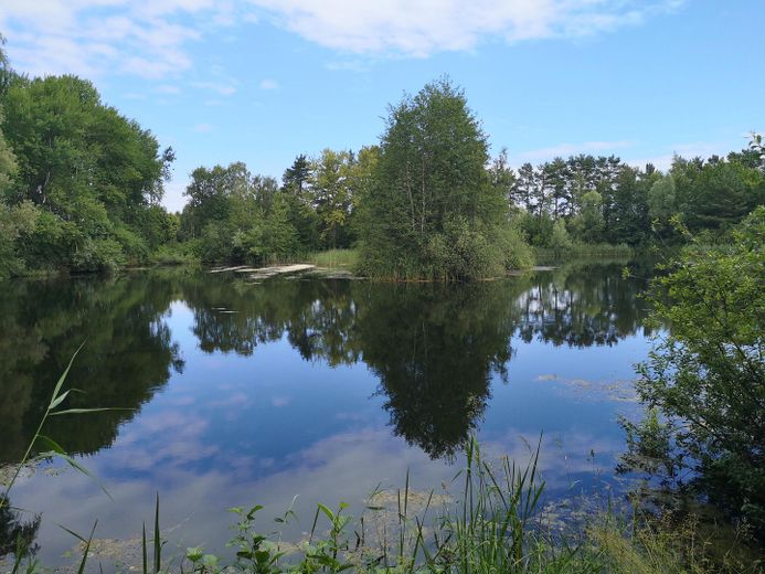 Tonkuhlen Seen 800m entfernt