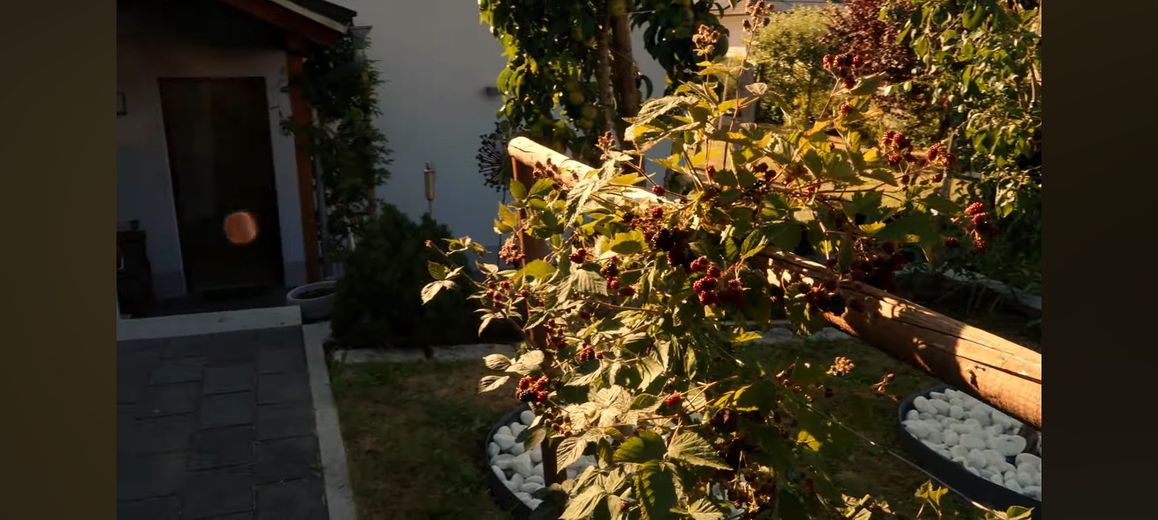 Esclusiva casa unifamiliare KfW-40 in tranquilla posizione a pendio esposto a sud – di alta qualità ed efficiente dal punto di vista energetico – Foto 32