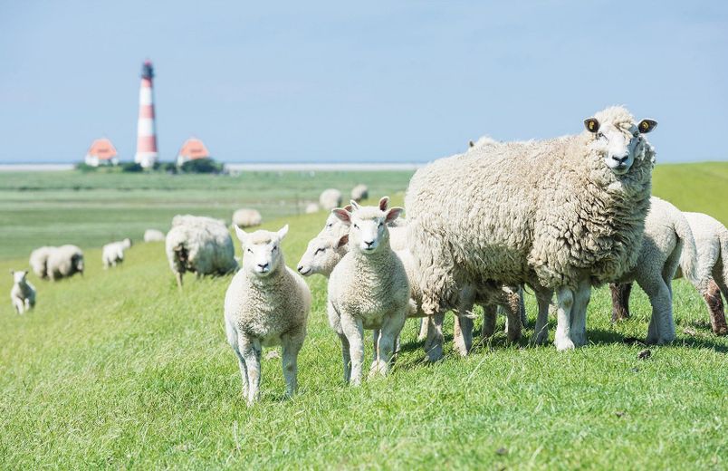 Westerhever Leuchturm