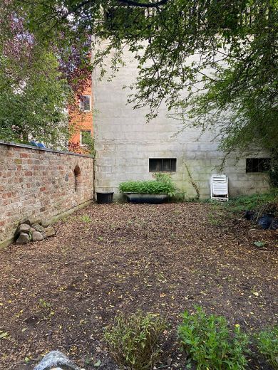 Gemüsegarten
