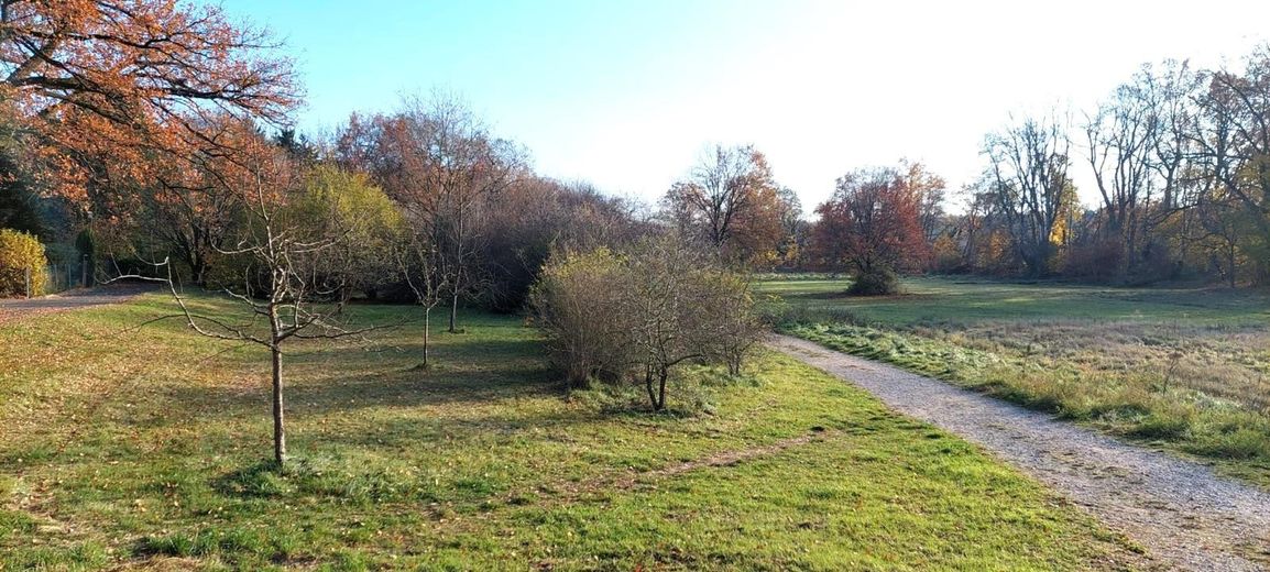 Rednitzauen unterhalb vom Gs