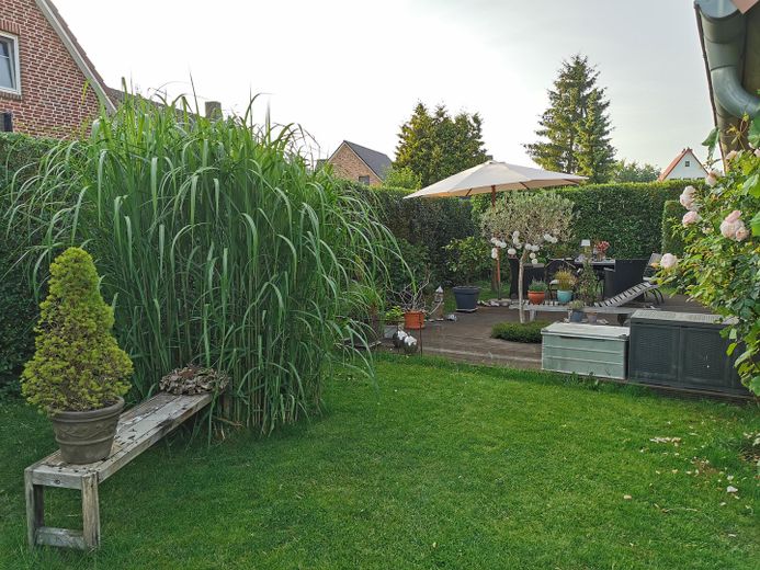 Garten/Terrasse