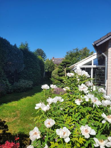 Garten mit Wintergarten