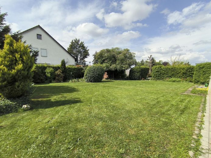 Großer, gewachsener Garten