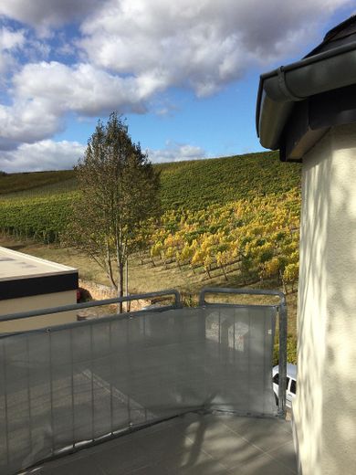 Ein-/Zweifamilien Stadthaus am Weinberg kernsaniert, vielseitig nutzbar, freistehend – DG Balkon Blick auf Weinberg