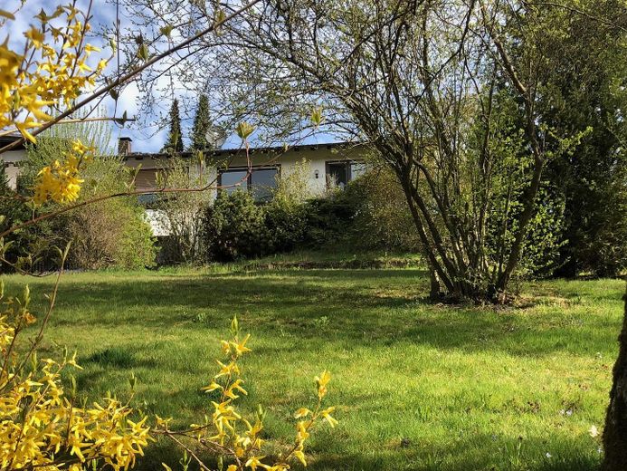 Jahreszeit Frühling/Sommer