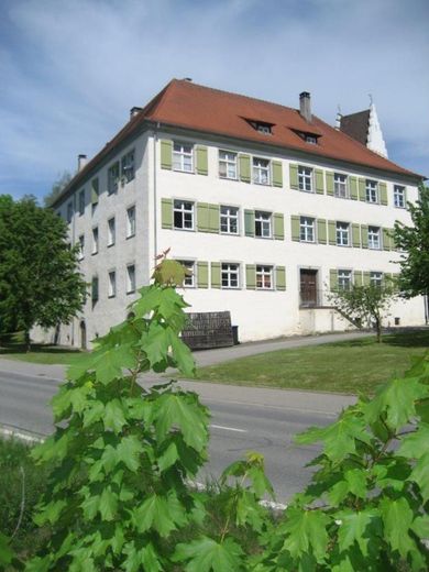 Apartament zamkowy nad Jeziorem Bodeńskim – osobne wejście, szybki internet do pracy z domu, dostępny od zaraz – Hausansicht Schloß Hirschlatt
