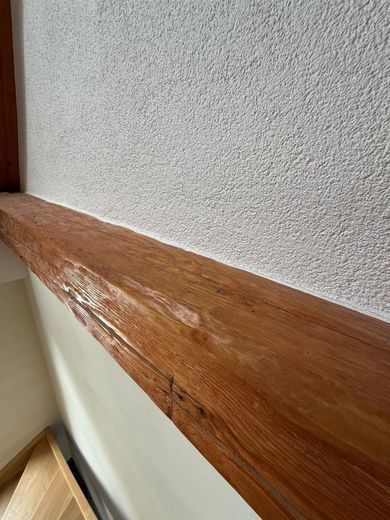 Großzügiges 8-Zimmer EFH mit wunderschönem Garten, Kamin und Einliegerwohnung – Detail