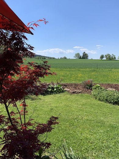 Terrassenblick Südseite