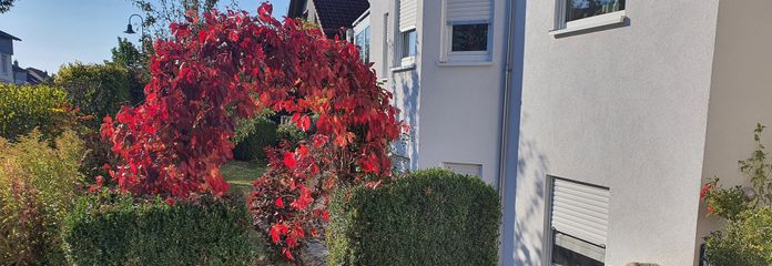 Souterrainwohnung