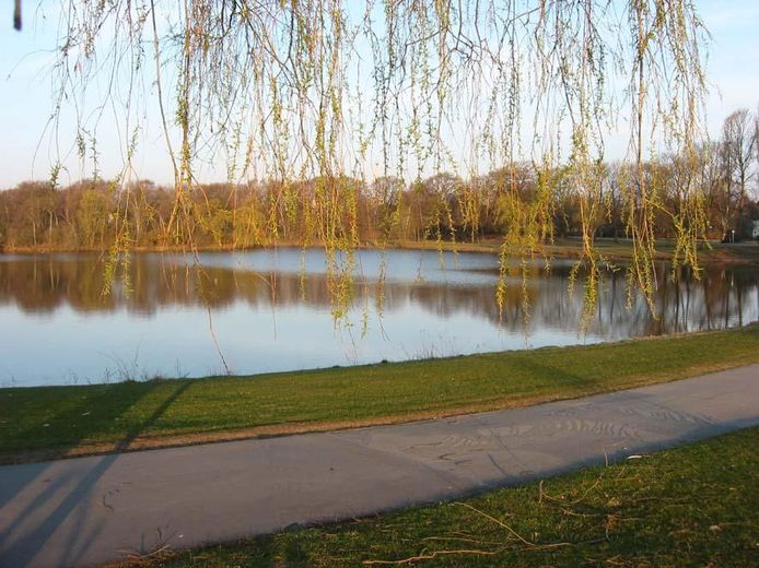 Umgebung (Gr. Hagebergbecken)