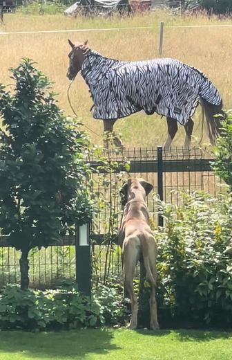 unterverbauter Blick