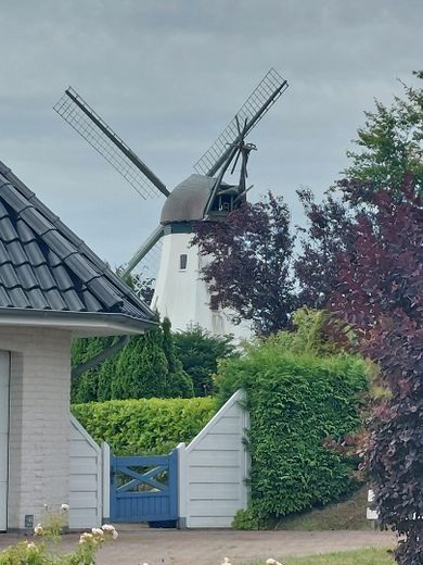 Küstenglück - große Baulücke in Westerholz nahe der Außenförde – Blick zur Straße