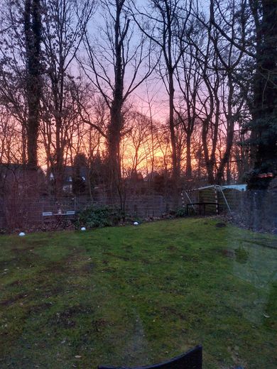 Der Garten im Winter