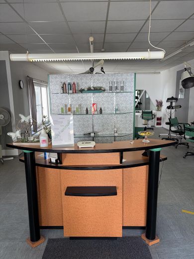 Wohn- und Geschäftshaus, top renovierte Wohnung sofort frei! Eigenutzung oder Kapitalanlage – Tresen Friseursalon